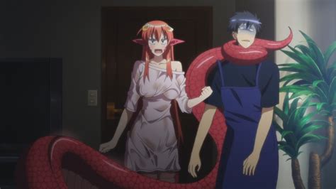 monster girl harem anime|MONSTER MUSUME EVERYDAY LIFE WITH MONSTER .